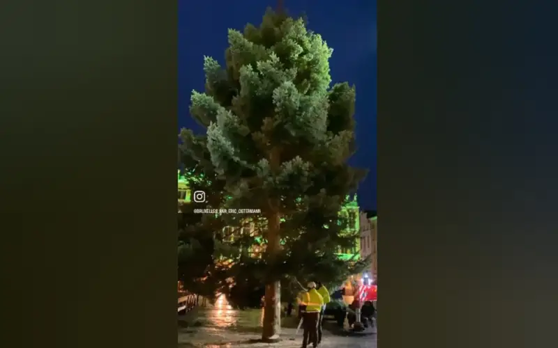 В Брюсселе зажгли рождественскую елку