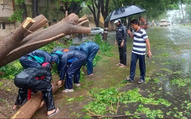 Үндістанда «Фенгал» дауылынан үш адам қаза тапты