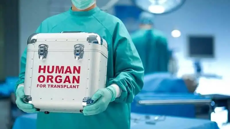 Bolashaqta elimizde transplantatsııa jasalatyn organ arnaıy qurylǵyda saqtalýy múmkin