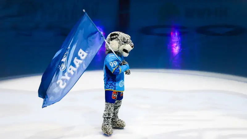 Hokkeı Barys Amýr 