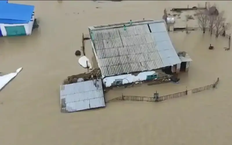 Пострадавшие от паводка фермеры Костанайской области жалуются на отсутствие компенсациии за потерянный скот