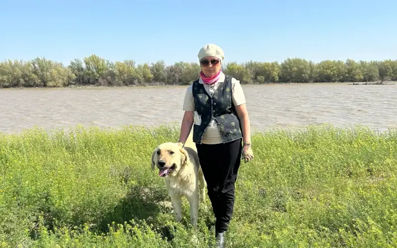  собака пшон