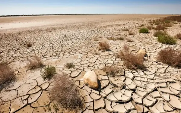 Global drought costs over $300 billion annually - UN