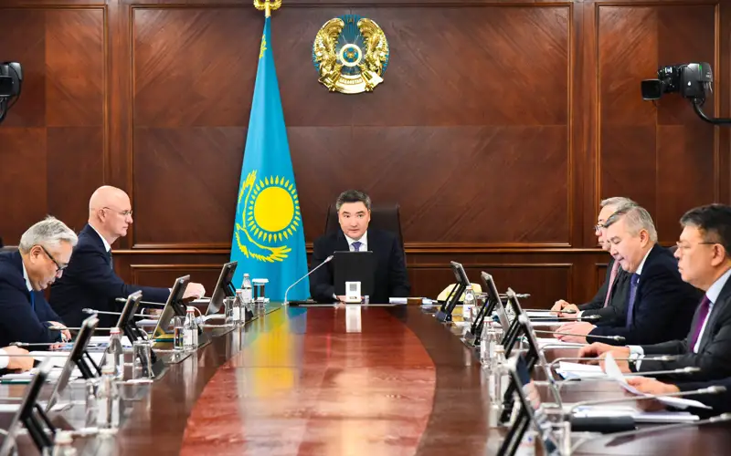 Жерасты ұлттық байлығымызды ең бірінші мемлекеттік компанияларға беру қажет – Олжас Бектенов