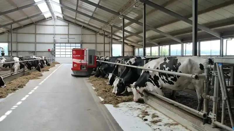 17 billion tenge allocated for dairy farms construction in N Kazakhstan region