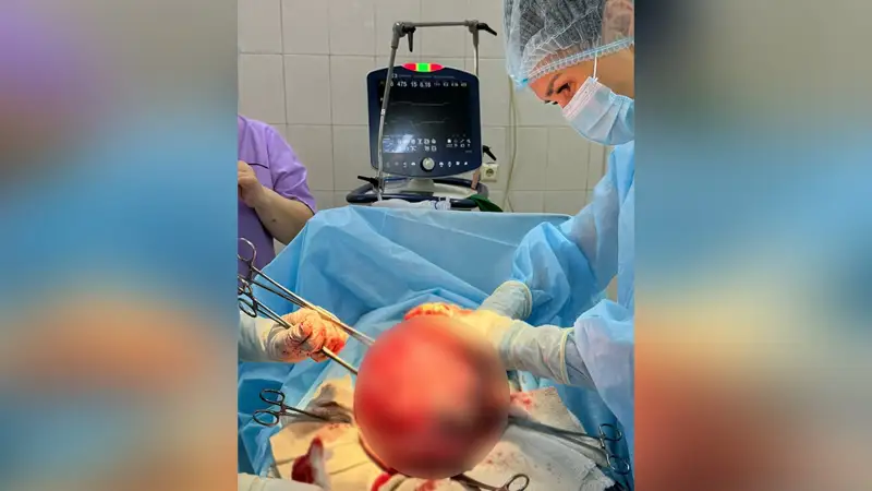 Almatylyq dárigerler 6 keli mıomany áıel jatyrynan alyp tastady