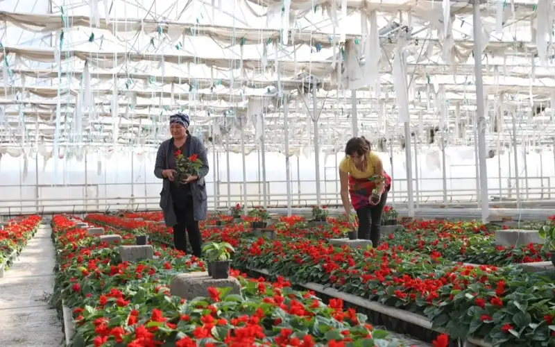 Жамбил вилояти