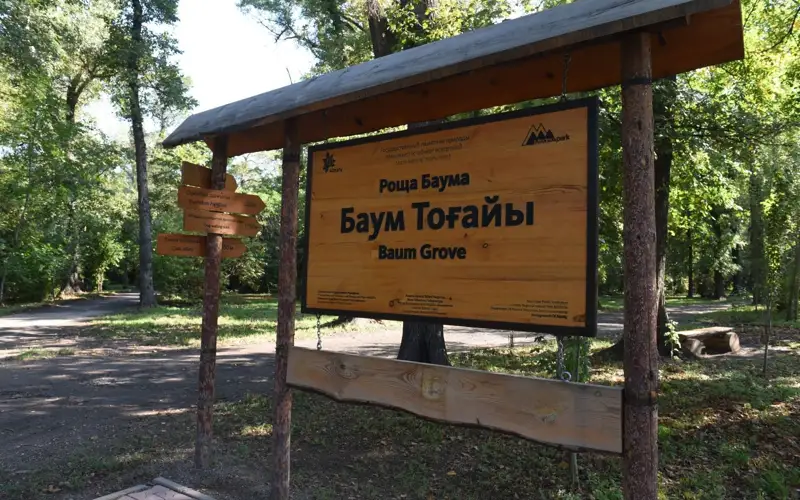 Baým Toǵaıy