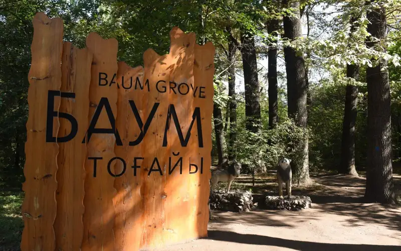 роща Баума