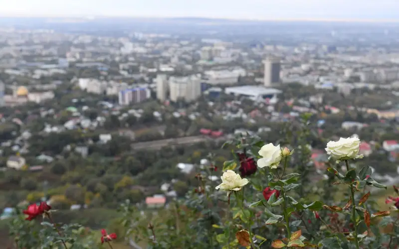  Ерболат Досаев: Алматыға «бақ қала» мәртебесі қайтарылады