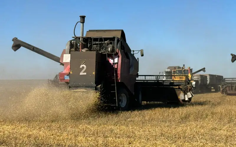 Как решают аграрные проблемы в Костанайской области