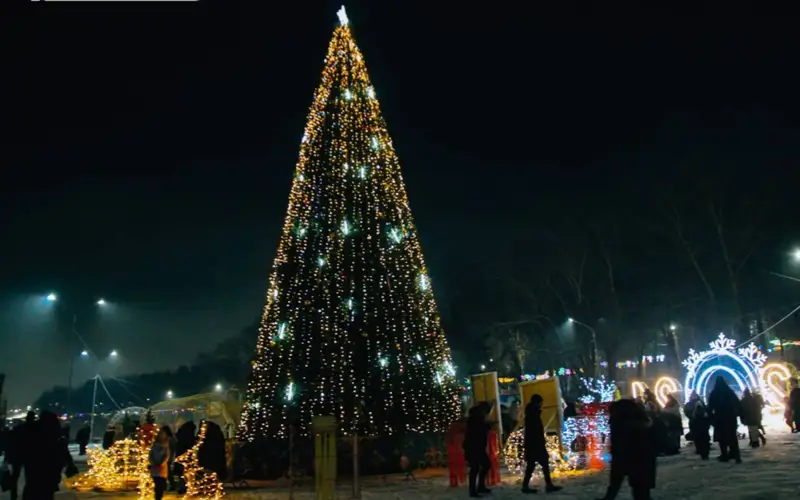 Павлодардың орталық алаңында құлап қалған шырша