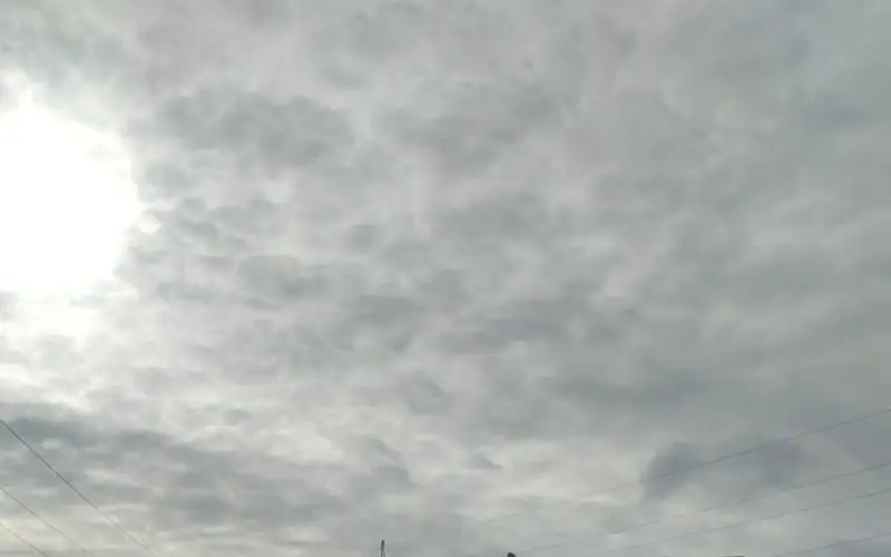 Черного снега нет — экологи Карагандинской области