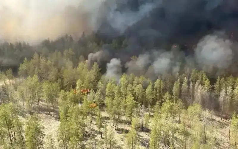 fires