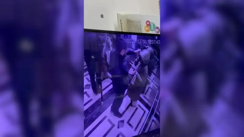 Фото: Видеодан скриншот 