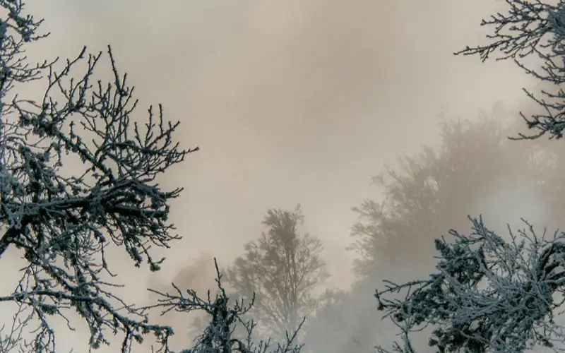 метеоусловия