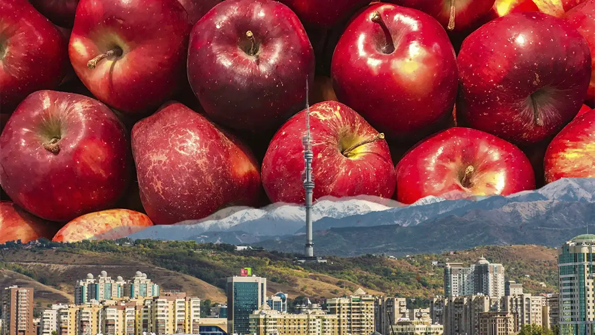 Сексуалдық қызмет қызметшілері Тулчин