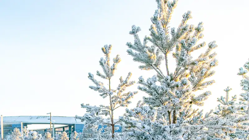 Астана зима мороз снег қыс аяз 