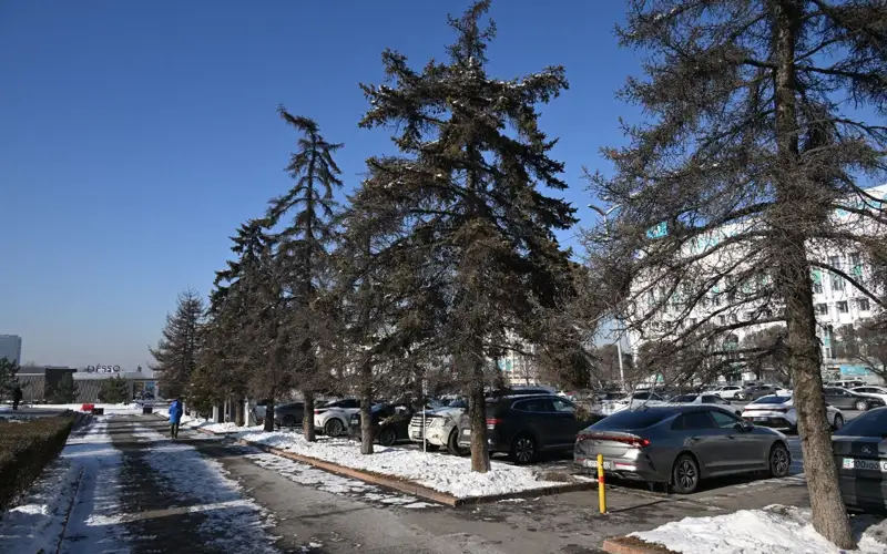 Almaty ákimdigi aǵash