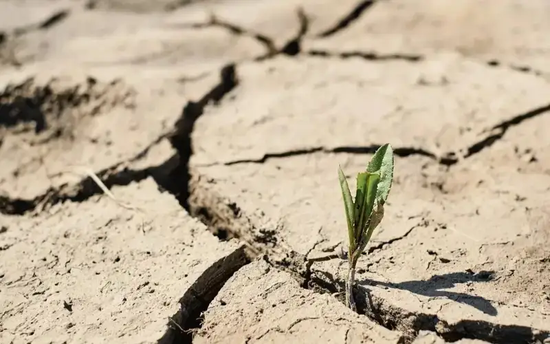 South Africa classifies drought, water shortages as national disaster