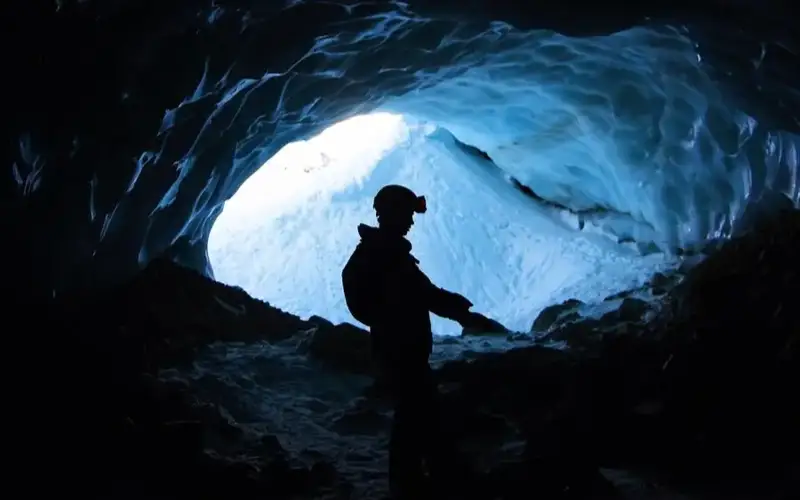 Фото: freepik.com  