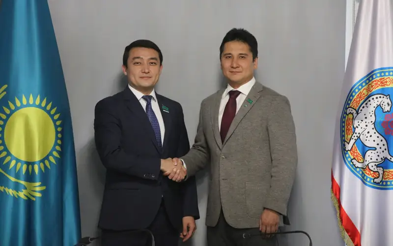 В маслихат города Алматы избрали нового депутата