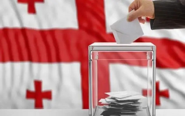 В Грузии стартовали выборы президента