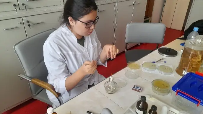 Уникальный способ борьбы с заболеваниями деревьев придумали в Таразе