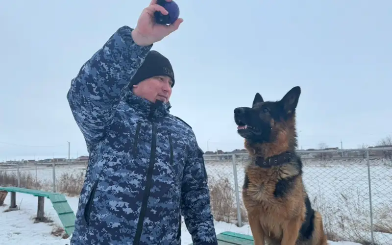 Каждая собака — с характером: как работает кинологический центр в Костанайской области