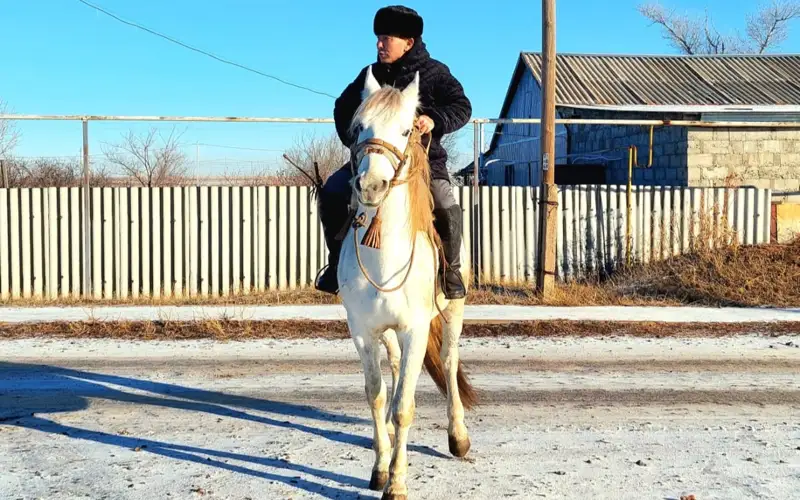 Катание на лошади и прогулки с тазы — сельчанин из ЗКО распространяет традиции в соцсети