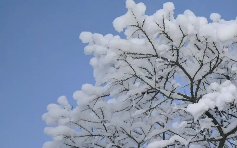 Rain, snow, and blizzards to batter Kazakhstan over next three days