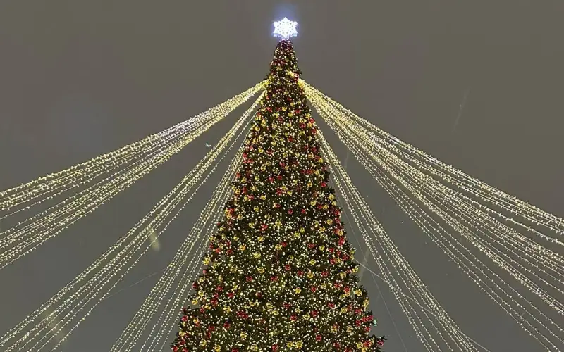 Главную новогоднюю елку зажгли в Астане