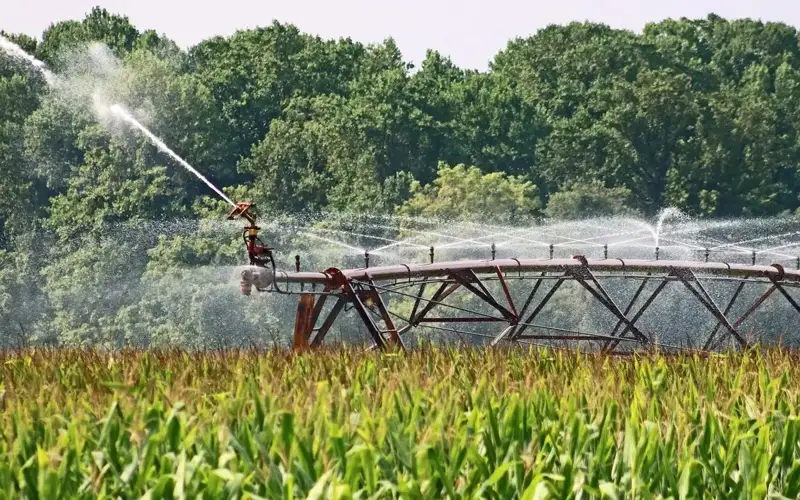 Бу йил Қозоғистонда қарийб 470 минг гектар экин майдонларида сувни тежайдиган технологиялар қўлланилди – вазирлик
