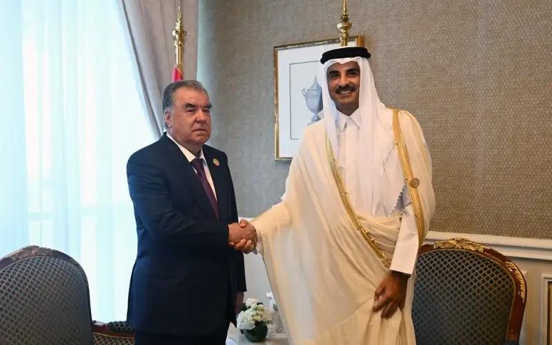 Tajikistan President meets with Emir of State of Qatar Sheikh Tamim bin Hamad Al Thani