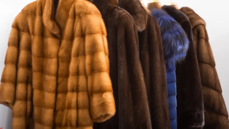 тұрғын сатып алған тоны ұнамай қалған соң ақшасын қайтарып алды