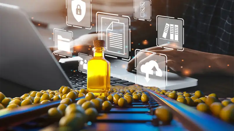 Цифровые услуги, рельсы для Афганистана, производство оливкового масла