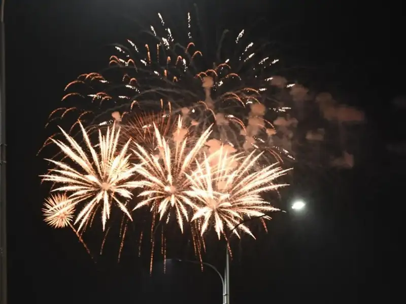 мушакбозлик