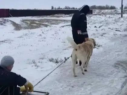 aýyl