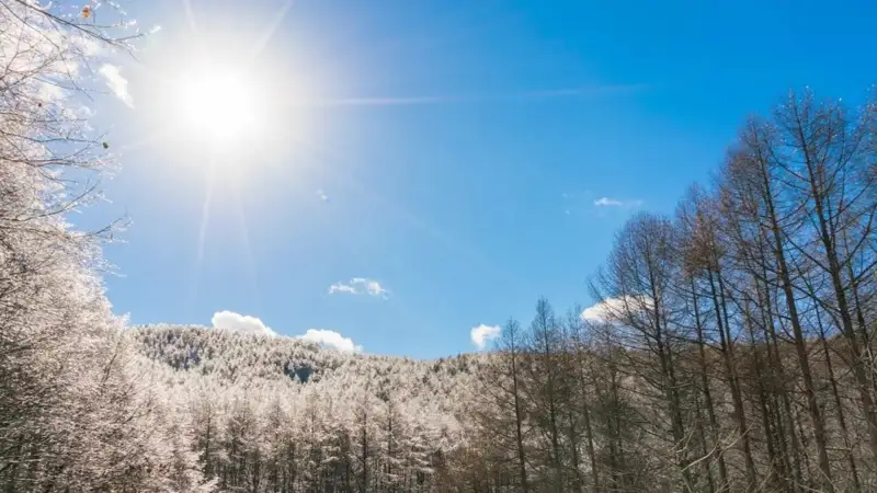 2024 йилнинг энг узун туни ва энг қисқа куни