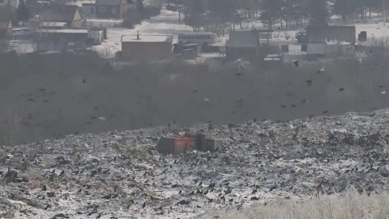 Техноэкопарк вместо свалки: новый полигон ТБО может обойтись Усть-Каменогорску до 80 млрд тенге