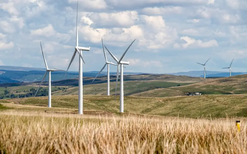 wind farm