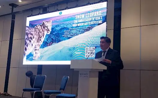 285 snow leopards inhabit territory of Kyrgyzstan