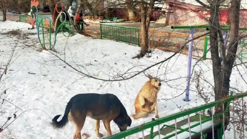 иттер