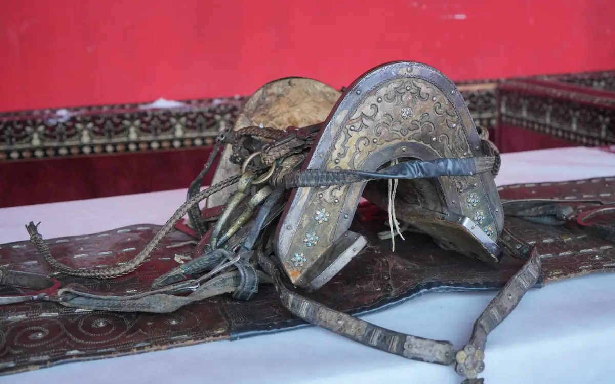 Үлкен бөкселері бар ескі әйелдер Мұнда дәретханада мастурбация