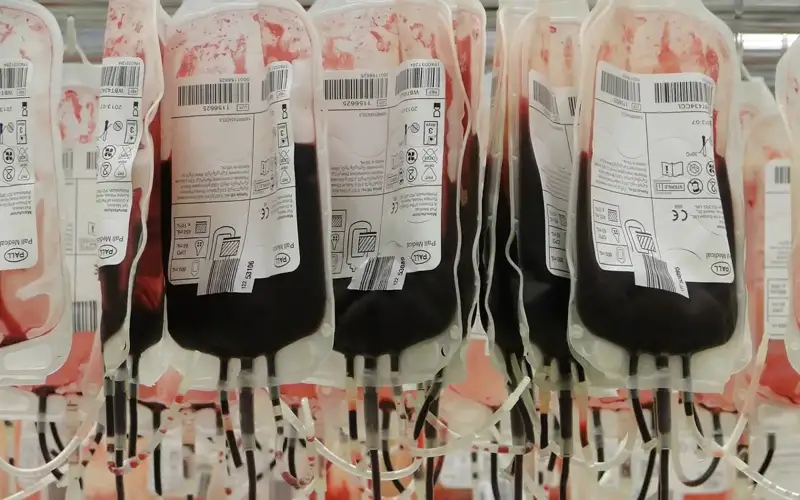 Фото: Pixabay.com 