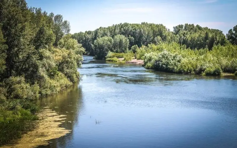 Жайық өзені