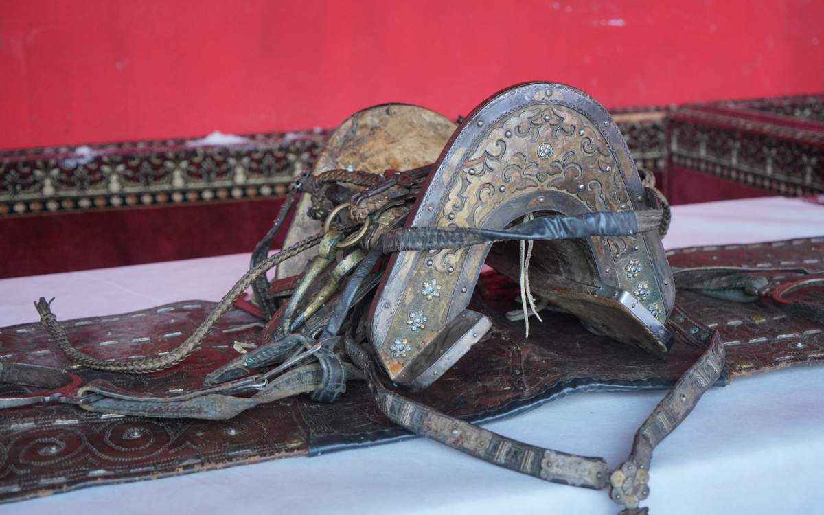 Клитордағы пениса суреті