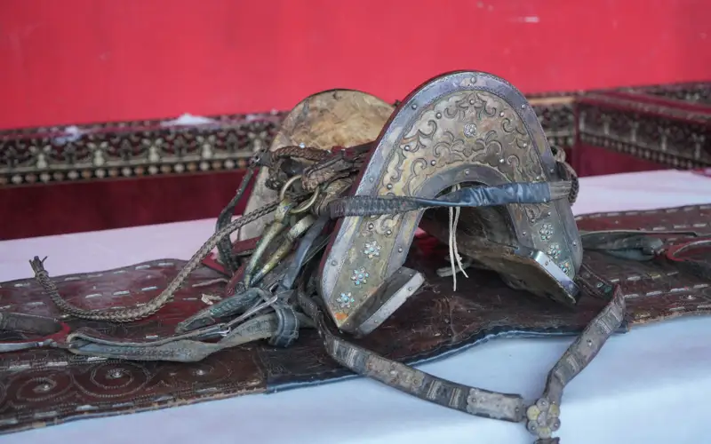 көкпар клубында хакім Абайдың ертоқымы