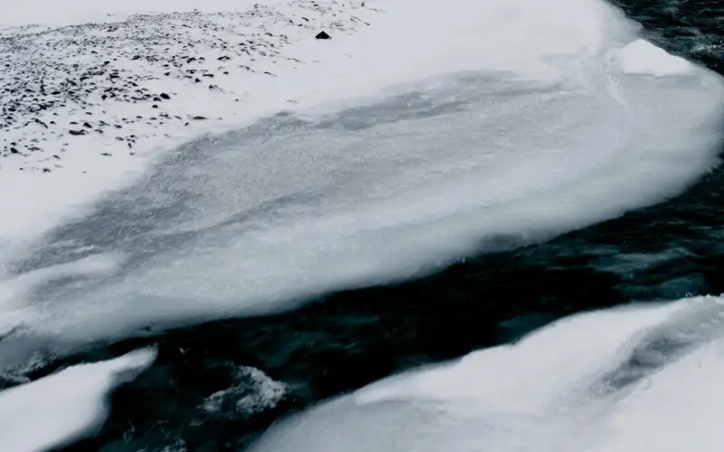 Около 50 лошадей утонули в Карагандинской области