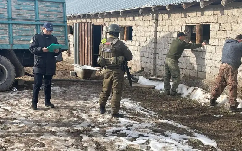 Қозоғистон-Ўзбекистон чегараси остидан 450 метрлик туннель топилди